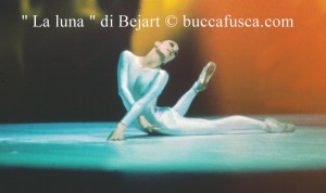 la luna x bazaar