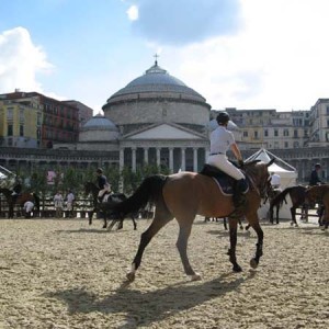 Ecco alcune foto  scattate il 13 giugno 2008