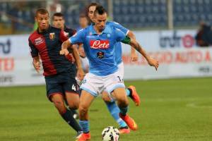 Hamsik2