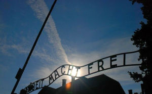auschwitz6767