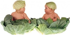 differenza-dieta-vegetariana-e-vegana-432x216