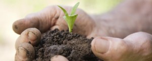 mani_agricoltore-crop-986-400-986-400