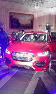 jaguar