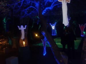 l'albero di Mila